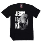 Camiseta Masculina E Feminina Jesus Is King Leão Estampa Na Frente